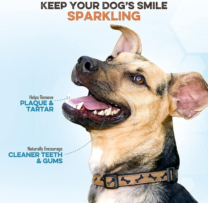 BRUTUS & BARNABY Thick Bully Sticks for Dogs – Odor Free Chews for Large, Medium & Small Breeds – Grain-Free, Rawhide-Free, Digestible Dog Treats – Grass-Fed Beef Chews for Aggressive Chewers
