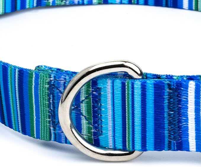 Country Brook Petz - Deluxe Blue Serape Dog Collar - Made in The U.S.A. - Country and Western Collection Featuring Rustic Designs (1 Inch, Medium)
