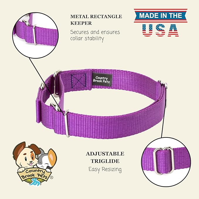 Country Brook Petz Martingale Dog Collar - Heavy-Duty Training Collar with No Buckle - Service Dog Collar for All Pups - Vibrant, Colorful Collection (Bright Purple, 5/8 Inch, Extra Small)