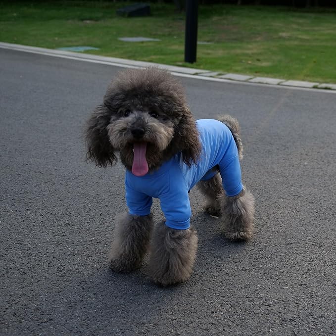 LoveLongLong Dog Jumpsuit with UV Protection and Quick-Dry Fabric for Spring Summer Pet Pajamas Sea Blue S