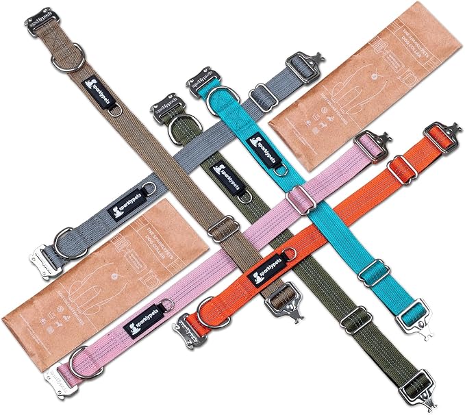 SparklyPets Small Dog Collar with Quick Release Buckle & AirTag Holder – Collars for Female Dogs & Boys with Reflective Stripes & Soft Lining – Perfect for Small & Medium Breeds