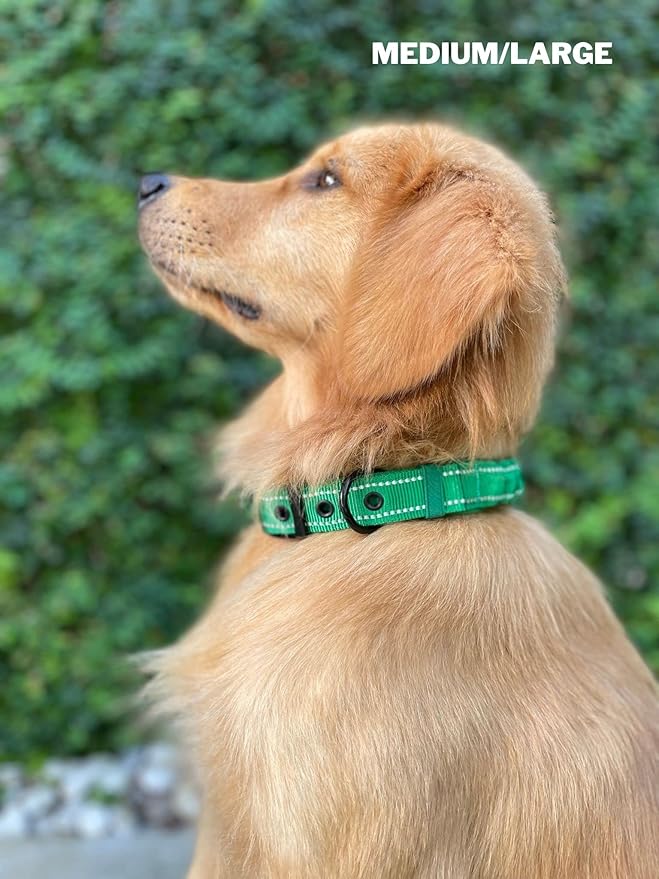 Heavy Duty Dog Collar With Handle | Ballistic Nylon Heavy Duty Collar | Padded Reflective Dog Collar With Adjustable Stainless Steel Hardware | Convenient Sizing for All Breeds