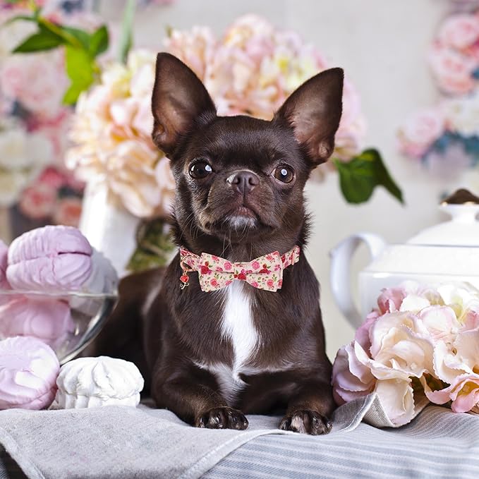 ADOGGYGO Floral Dog Collar with Bow, Red Pink Rose Flower Dog Bow Collar with Metal Buckle, Adjustable Pet Floral Collars for Extra Small Dogs (X-Small)
