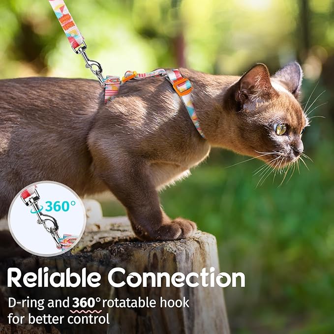 Dooradar Cat Harness and Leash, Escape Proof Adjustable Kitten Vest, Lightweight Soft Pet Straps, Easy Wearing for Small Medium Kitty Safe Walking Travel Control, Rainbow, M