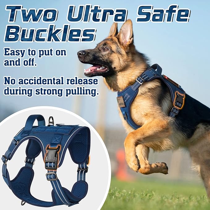 rabbitgoo Tactical Dog Harness Medium Sized Dog, No Pull Military Service Vest with Handle & Molle, Easy Control for Training Walking, Adjustable Reflective Straps, Blue, M