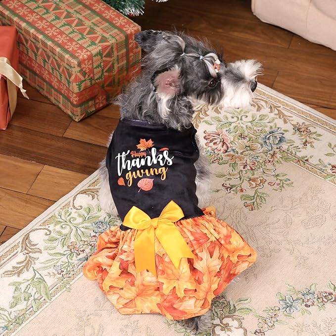 CuteBone Thanksgiving Dog Fall Dresses Costume Velvet Holiday Small Dogs Clothes Onesie Pet Apparel Girl Puppy Skirt with Bow Hair Rope CVA52XS-D