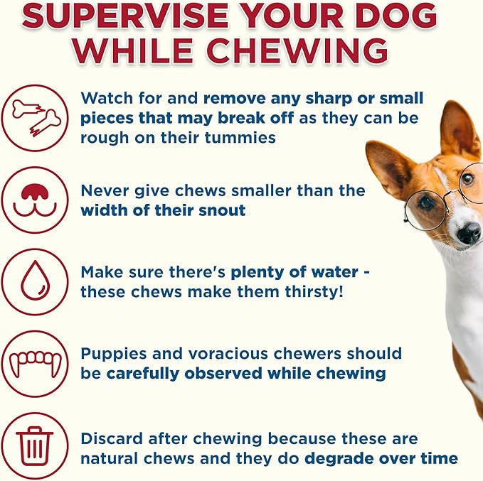Best Bully Sticks Marrow Bones for Dogs - 8 Count (Pack of 1) - USA Packed, Healthy Snack, Grass-Fed Beef, Long-Lasting - Large Breeds