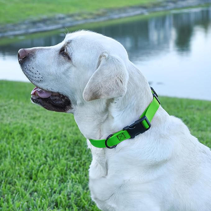 Dogline Biothane Waterproof Dog Collar with Quick Release Buckle Strong Coated Nylon Webbing with Odor- Proof for Easy Care Easy to Clean Fits Small Medium Large Dogs, Lime Green 5/8" W 9-14" L