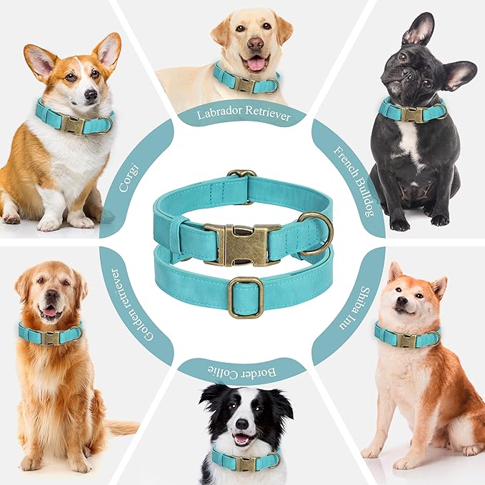 Soft Leather Dog Collar for Small Medium Large Dogs, Heavy Duty Dog Collar Leather with Quick Release Metal Buckle, Durable & Adjustable for Medium Dogs Walking (Teal Blue, M)