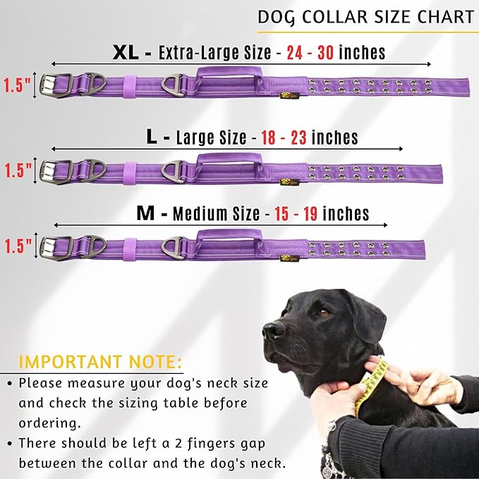ADITYNA Heavy Duty Dog Collar for Extra-Large Dogs - Reflective Purple Collar with Handle for Training, and Walking - Wide, Thick, Tactical, Soft Neoprene Padded