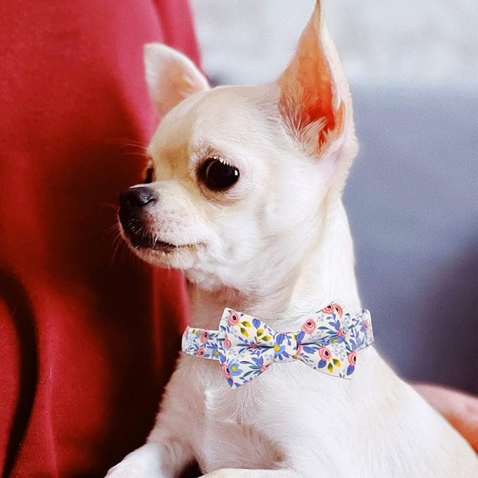 Dog Collar and Leash Set Girls Adjustable Puppy Collars with Floral Bow Tie for Small Medium Large Female Dogs, Blue Flower, S