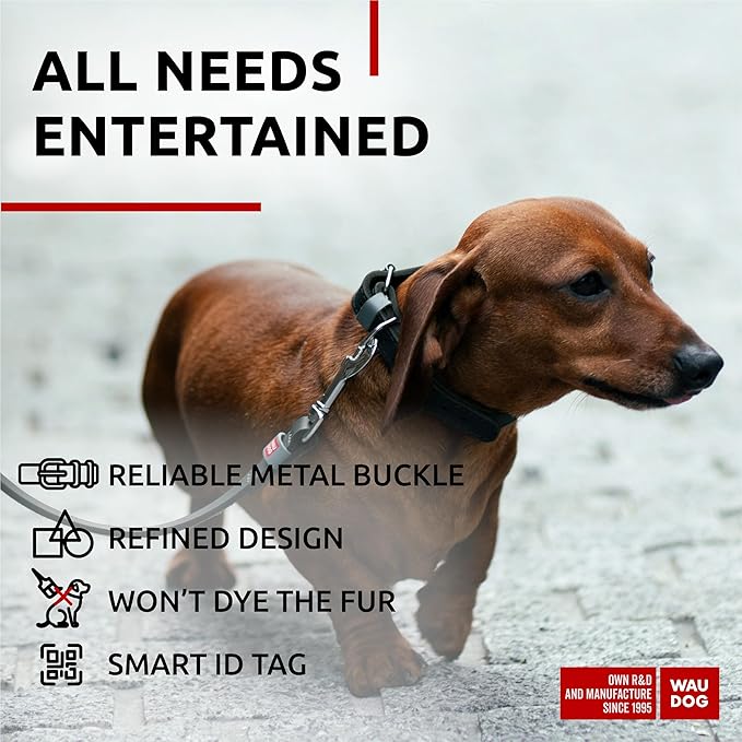 WAUDOG Long Lasting Leather Dog Collar for Large Dogs, Medium & Small Dogs - Adjustable Classic Puppy Collars for Large Breed Dogs - Boy & Girl Dog Collars with Durable Buckle, D-Ring & QR Dog Tag