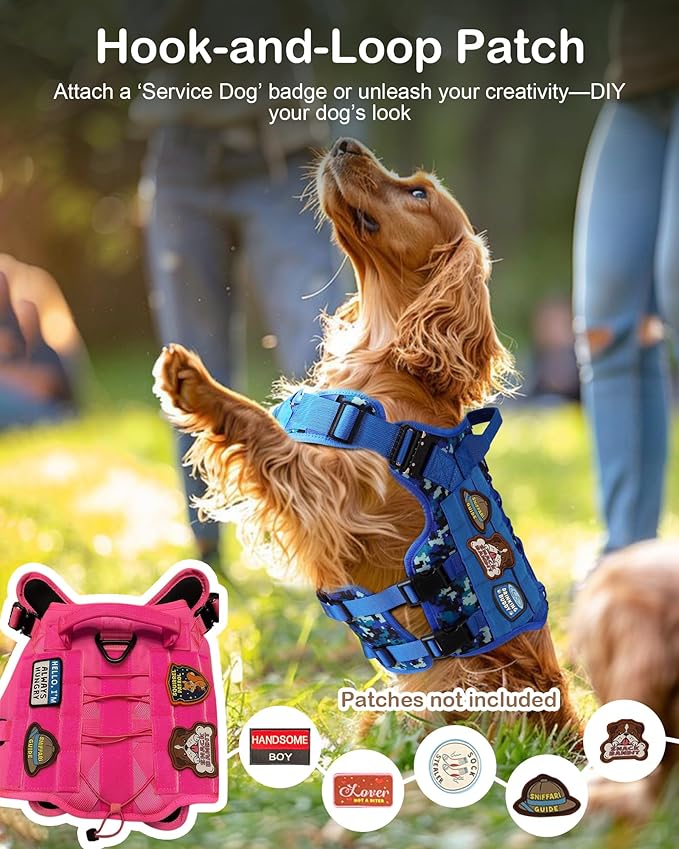 Tactical Dog Harness - PETNANNY Harness Service Dog Vest for Large Breed Dog, Hook and Loop Panel for Service Patchs, Work MOLLE Vest with Handle for Walking Hiking Training(Orange,L)