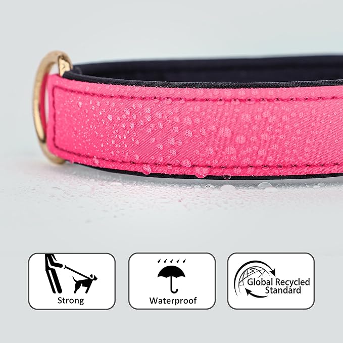 Didog Soft Padded Dog Collars for Medium Dogs, Lightweight and Breathable Pink Dog Collar Waterproof with Metal Buckle, Pink, L