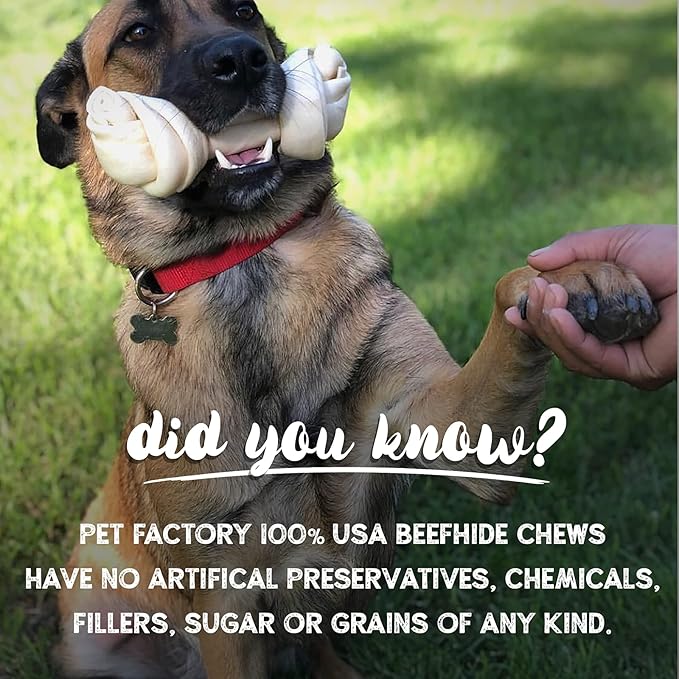 Pet Factory 100% Made in USA Beefhide Chips Dog Chew Treats - Beef & Chicken Flavor, 8 oz