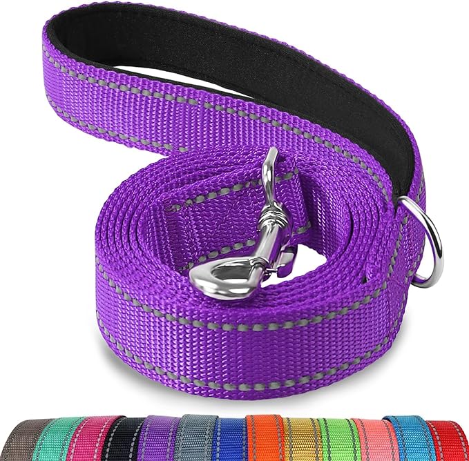 Joytale Double-Sided Reflective Dog Leash, 6 FT/5 FT/4 FT, Padded Handle Nylon Heavy Duty Leashes for Small & Medium Dogs Walking, Purple, 4FT