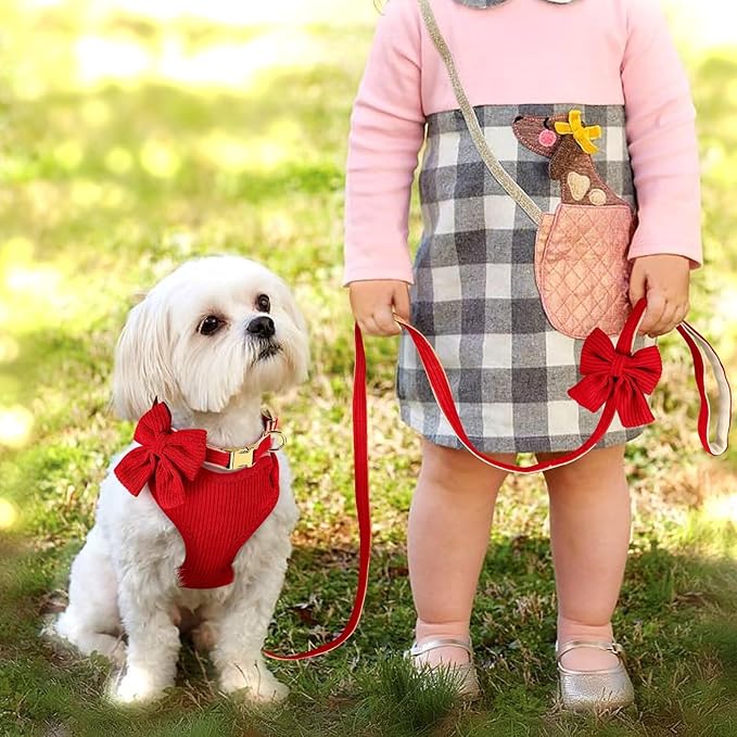 Didog Cute Small Dog Harness Collar & Leash Set, Adjustable Dog Collars and Leashes with Bowtie, Breathable Soft Mesh Padded Dog Vest for Puppies Small Dogs Walking, Red, S