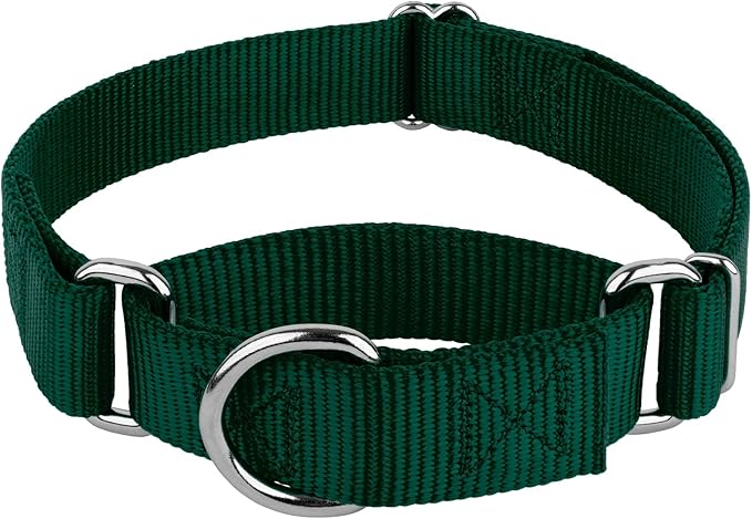Country Brook Petz Martingale Dog Collar - Heavy-Duty Training Collar with No Buckle - Service Dog Collar for All Pups - Vibrant, Colorful Collection (Green, 1 Inch, Medium)
