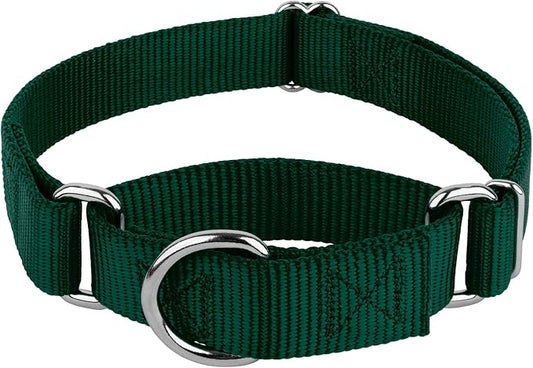 Country Brook Petz Martingale Dog Collar - Heavy-Duty Training Collar with No Buckle - Service Dog Collar for All Pups - Vibrant, Colorful Collection (Green, 3/8 Inch, 3XS)