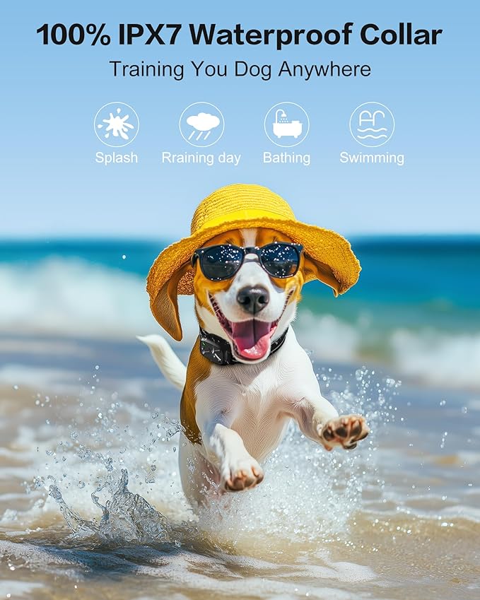 Dog Shock Collar with Remote - Dog Training Collar Waterproof, Rechargeable E Collar for Dogs Training with Vibration, Electric Shock, Beep, Security Lock, Shock Collar for All Breeds, Size