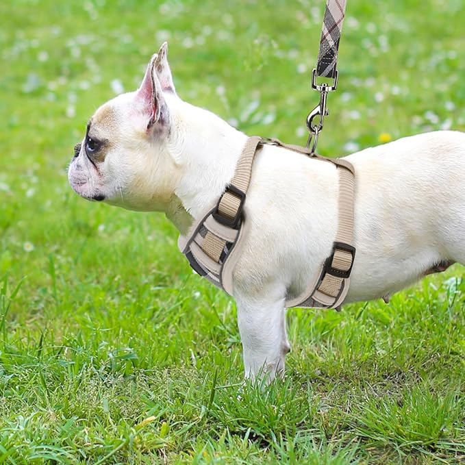 PUPTECK Dog Harness and Leash Set for Small Medium Dogs No Pull, Soft Mesh Adjustable Puppy Cat Harness Reflective at Night, Beige S