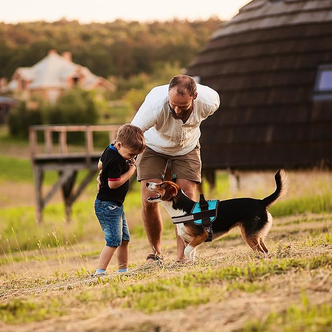 Dogline Dog Harness, Reflective No-Pull Adjustable Vest with Handle for Walking, Training, Breathable, No - Choke Harness for Small, Medium or Large Dogs Room for Patches Girth 18 to 24 in Turquoise