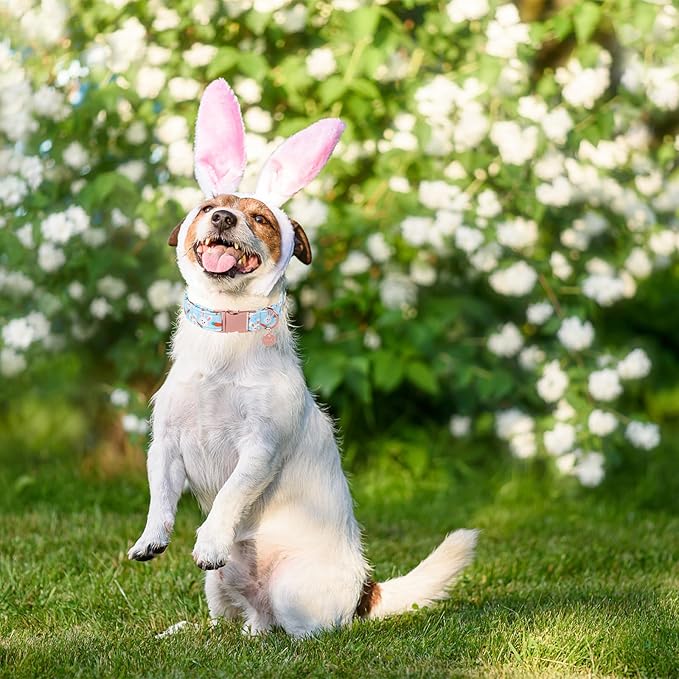 Easter Dog Collar, Cotton Easter Bunny Collar for Puppy Girl Boy Dog or Cat, Easter Gift Rabbit Carrot Dog Collar, Cute Carrot Pet Dog Collar with Metal Buckle, S