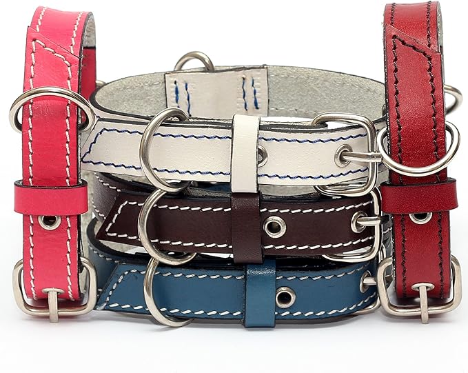 Premium Leather Collars with Stainless Steel Buckles (9"-12", Red)