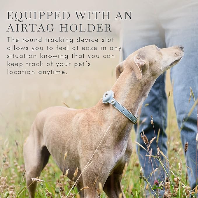 Cupertino Dog Collars, Harnesses & Leashes Made from Vegan Leather with Dog Tracker Device Holder Adjustable Dog Collar (Extra Small, Blue)