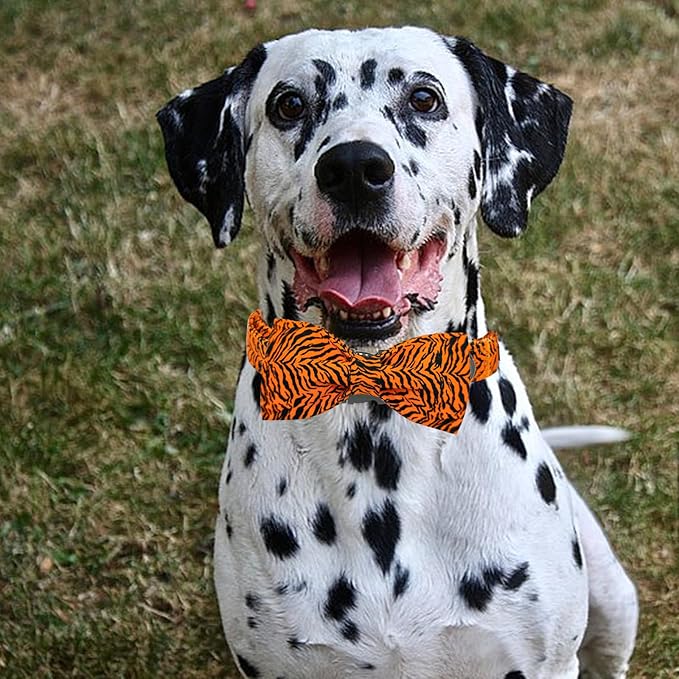 Elegant Little Tail Tiger Print X-Small Puppy Dog Collar, Cotton, Buckle Closure, Distinctive Design