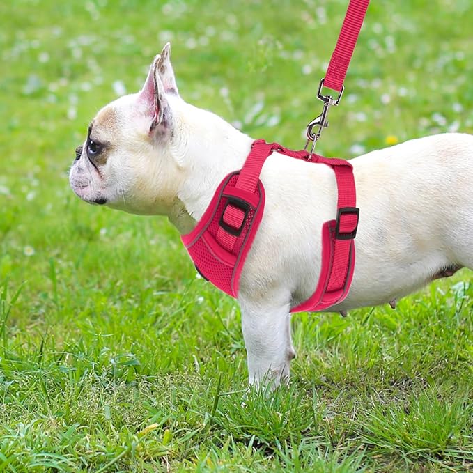 PUPTECK Dog Harness and Leash Set for Small Medium Dogs No Pull, Soft Mesh Adjustable Puppy Cat Harness Reflective at Night, Fuchsia M