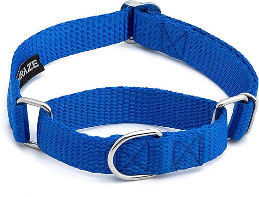 Martingale Dog Collar - Heavyduty Nylon Dog Collar with No Buckle Dog Training Collars for Medium Dogs (Blue, Large)