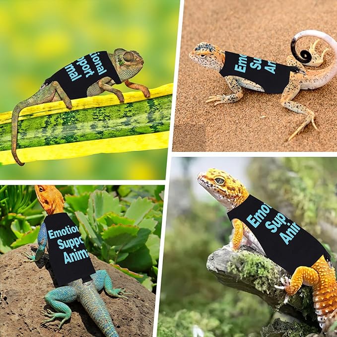 Bearded Dragon Harness and Leash Set Adjustable Reptile Lizard Leash Rope Vest Clothes Starter Kit Accessories for Small Animal Outdoor Walking Training