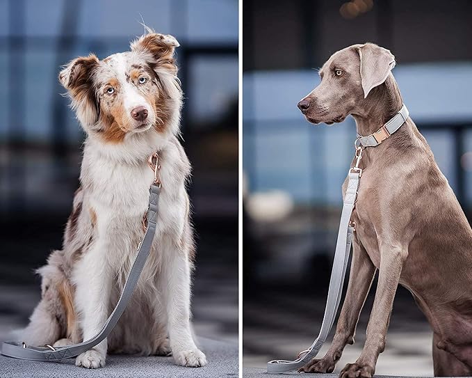 Soft Leather Dog Collar and Leash (6.6') Set - Stylish Rose Gold Heavy Duty Metal Buckle, 4 Adjustable Lengths Leash for Small Medium Large Dogs - Comfortable & Easy to Clean Grey M(13.8"-19.7")