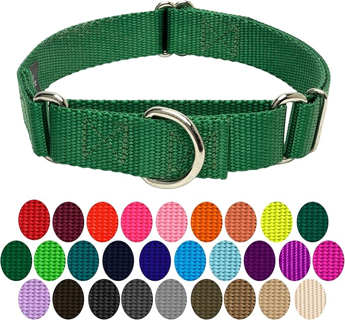 Country Brook Petz Martingale Dog Collar - Heavy-Duty Training Collar with No Buckle - Service Dog Collar for All Pups - Vibrant, Colorful Collection (Christmas Green, 5/8 Inch, Extra Small)