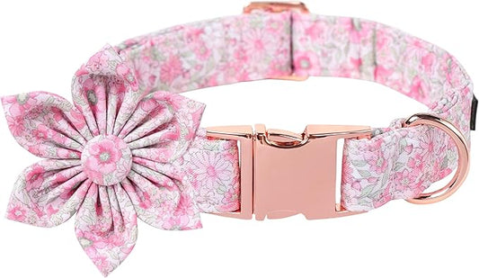 Lionet Paws Design Dogs Collar Cute Adjustable Flower Dog Collars for Girl Female Small Medium Dogs with Spring Floral M