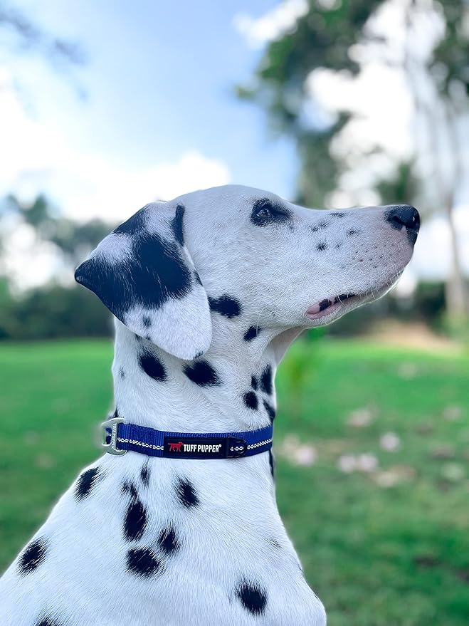 Tuff Pupper Heavy Duty Reflective Dog Collar with Aluminum D-Ring Leash Clip | Separate Dog ID Tag Attachment | Easy Sizing for All Breeds