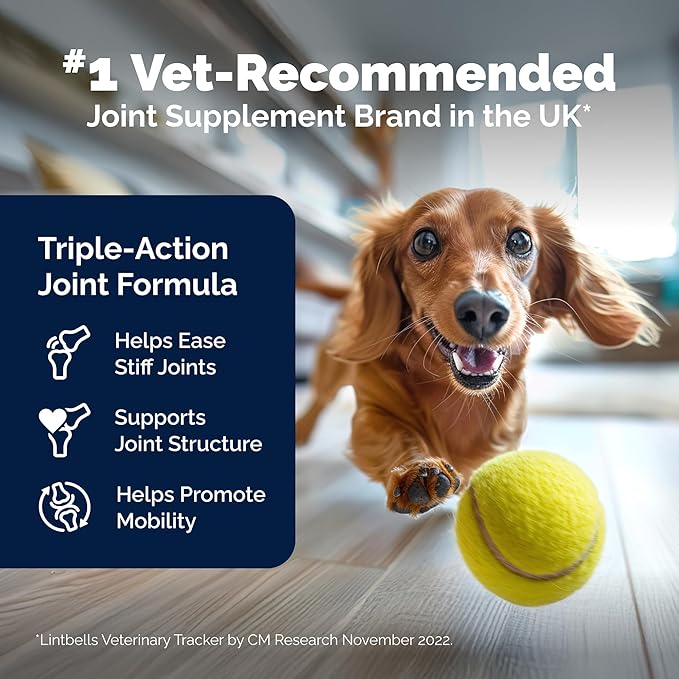 Lintbells YuMOVE Joint Supplement Dog Chews - Contains Glucosamine, Green Lipped Mussel - Natural Relief from Hip Ache, Stiff Joints - 1 Month’s Supply (Small & Medium)
