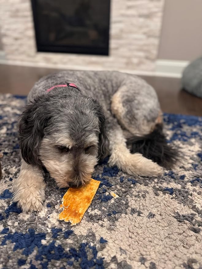 Fieldcrest Farms Nothing to Hide Natural Rawhide Alternative Flip Chips for Dogs - 3 Pack Bundle & Magnet (Chicken, Beef, Peanut Butter) Premium Easily Digestible Chews Great for Dental Health