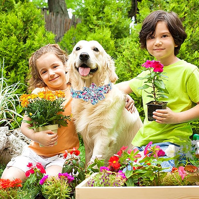Lionheart Glory Floral Dog Collar - Soft, Durable & Adjustable for Medium Dogs