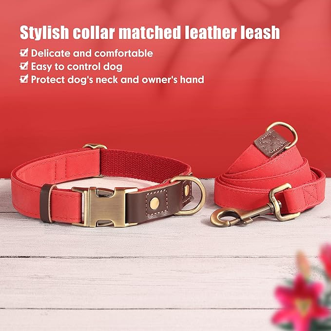 Didog Soft Padded Leather Dog Collars for Medium Dogs, Classic Heavy Duty Dog Collar Adjustable with Quick Release Metal Buckle,Red,M Neck 13-19"