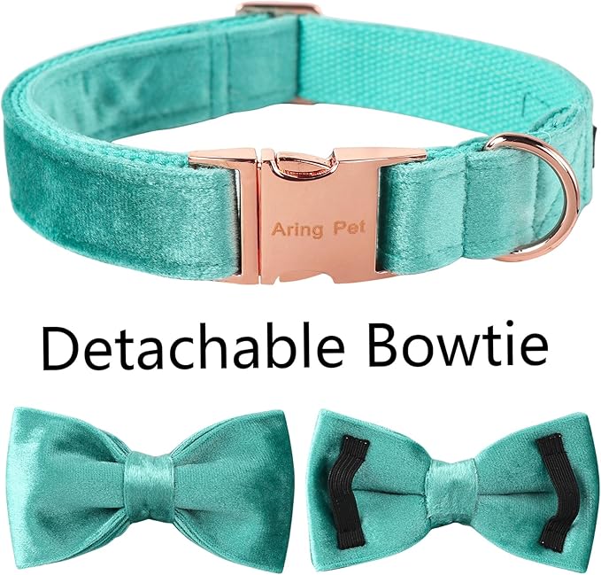 ARING PET Bowtie Dog Collar-Velvet Dog Collars with Removable Bowtie, Cute & Comfortable Dog Collar.