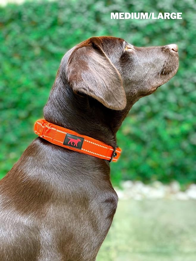 Heavy Duty Dog Collar With Handle | Ballistic Nylon Heavy Duty Collar | Padded Reflective Dog Collar With Adjustable Stainless Steel Hardware | Convenient Sizing for All Breeds