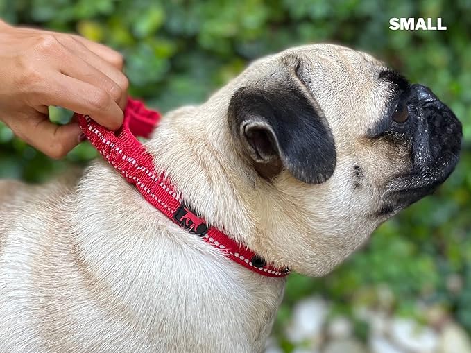 Tuff Pupper Heavy Duty Dog Collar with Handle | Ballistic Nylon Heavy Duty Collar | Padded Reflective Dog Collar with Adjustable Stainless Steel Hardware | Convenient Sizing for All Breeds