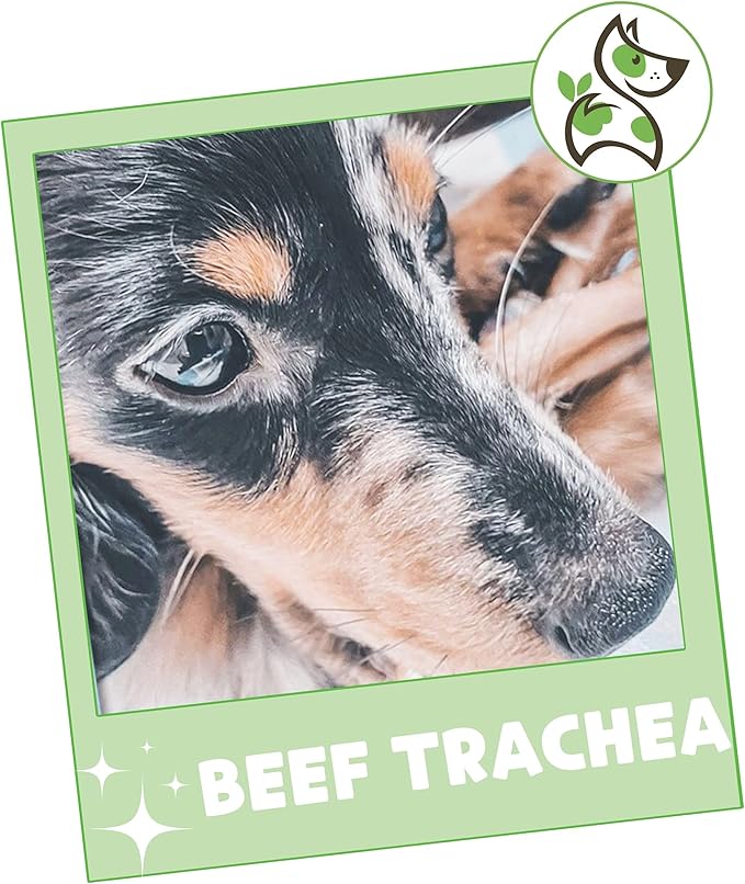 Nature Gnaws Beef Trachea Chews for Dogs 3" (12 Count) - Long Lasting Natural Crunchy Dog Chew Bones - Rawhide Free (Pack of 2)