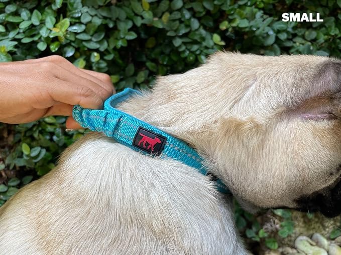 Tuff Pupper Heavy Duty Dog Collar with Handle | Ballistic Nylon Heavy Duty Collar | Padded Reflective Dog Collar with Adjustable Stainless Steel Hardware | Convenient Sizing for All Breeds