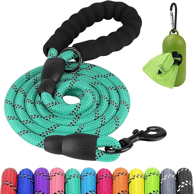 Joytale Reflective Dog Leash, Heavy Duty Nylon Rope with Poop Bag Holder, Highly Reflective Threads Leashes for Medium Large Dogs, Teal, 6'×1/2''