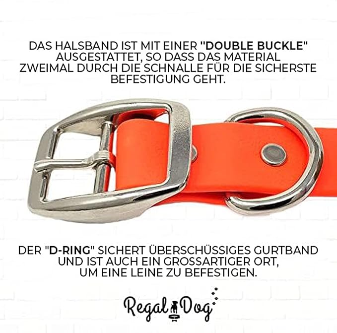 Regal Dog Products Large Orange Waterproof Dog Collar and Leash Set | Heavy Duty Double Buckle & D Ring - 5'ft Leash | Adjustable Biothane Dog Collar | Chew Resistant Waterproof Collar for Dogs