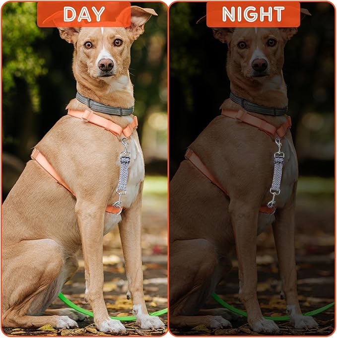 2 PCS Dog Collar Connector Prong Collar Safety Clip Leash Safety Clip Dog Leash Connector Harness to Collar Safety Clip Reflective Double Ended Backup Clasp Leash Connector for Dog Pinch Collar