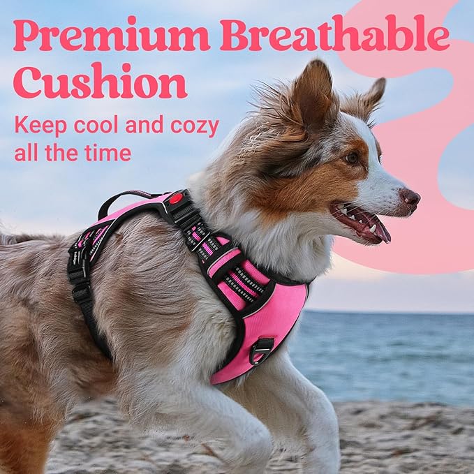 rabbitgoo Dog Harness Medium Sized, No Pull Pet Harness with Soft Padded Handle, Adjustable Reflective Vest with 3 Buckles, Easy Walking Harness with 2 Leash Clips, Pink, M